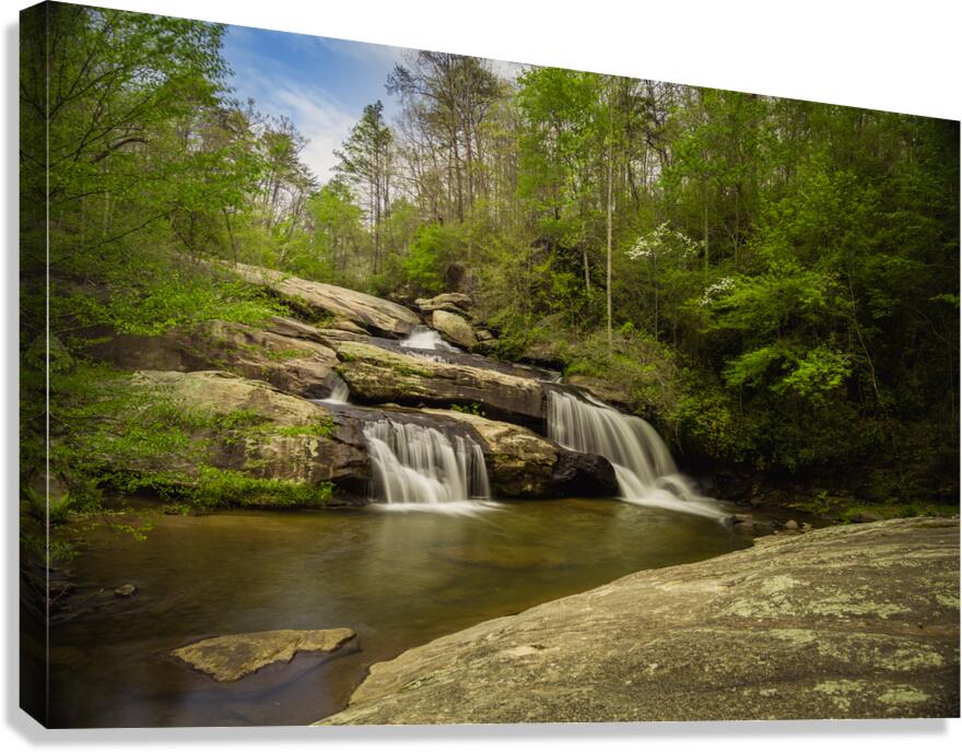 Forest Falls - Chau Ram  Canvas Print