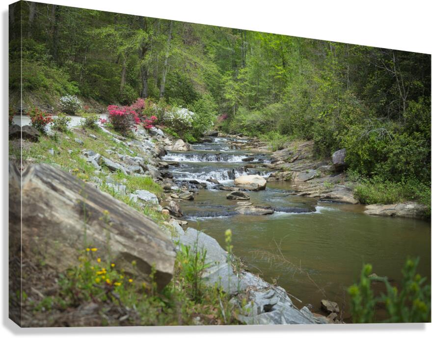 Flowing Tranquility  Canvas Print