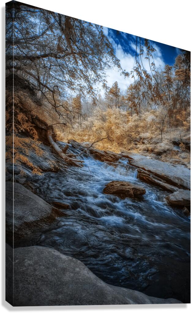 Riverside Whispers  Canvas Print