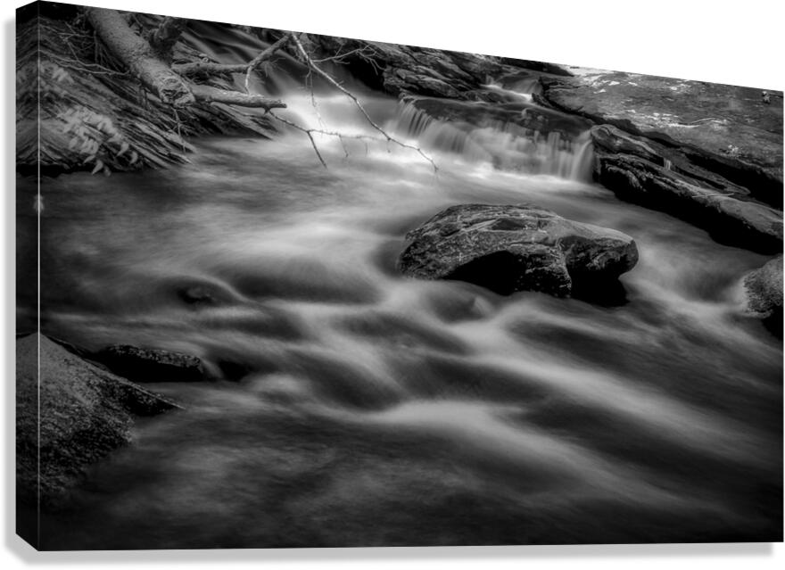 Flowing Elegance  Canvas Print