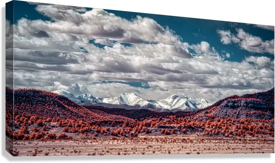 Infrared Contrast of Earth and Sky Canvas Print