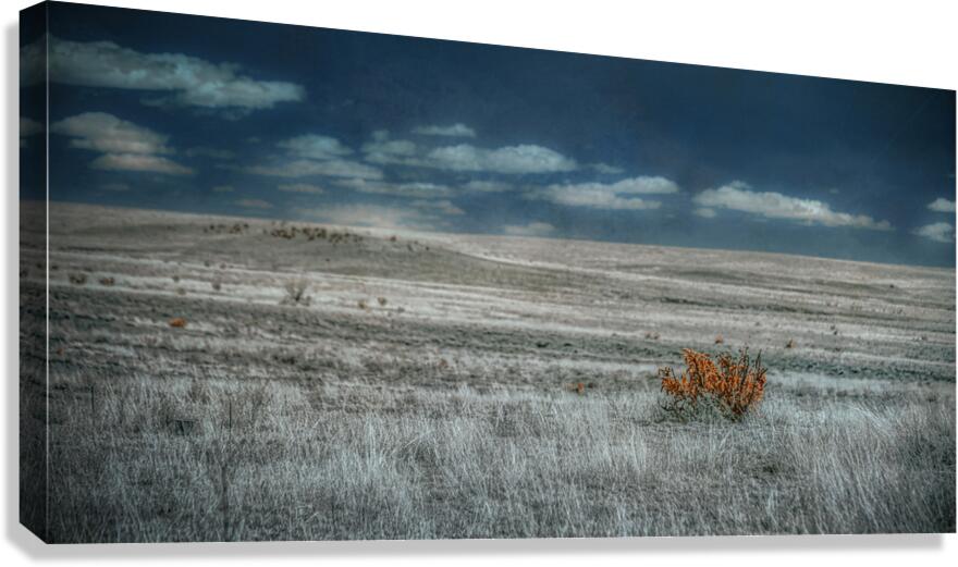 Solitary Flame Under Azure Canopy Canvas Print