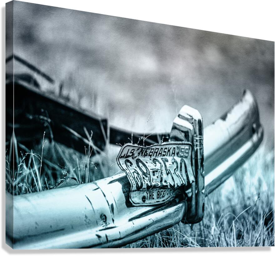 Rustic Relic   Blue Plate Canvas Print