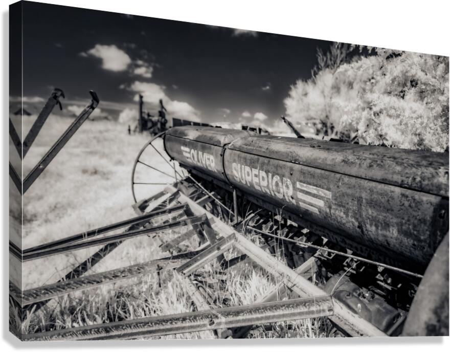 Rustic Relic   Oliver Superior Canvas Print