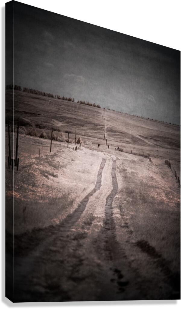 Paths of Yesterday Canvas Print