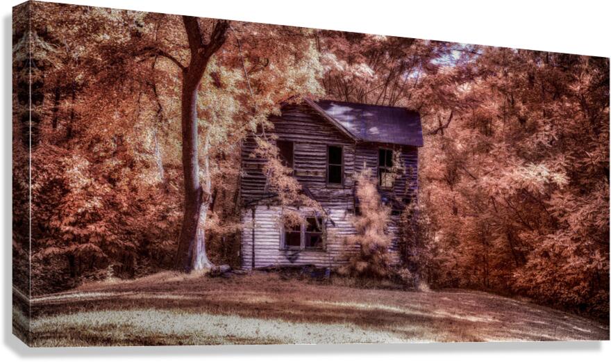 Forgotten Canvas Print