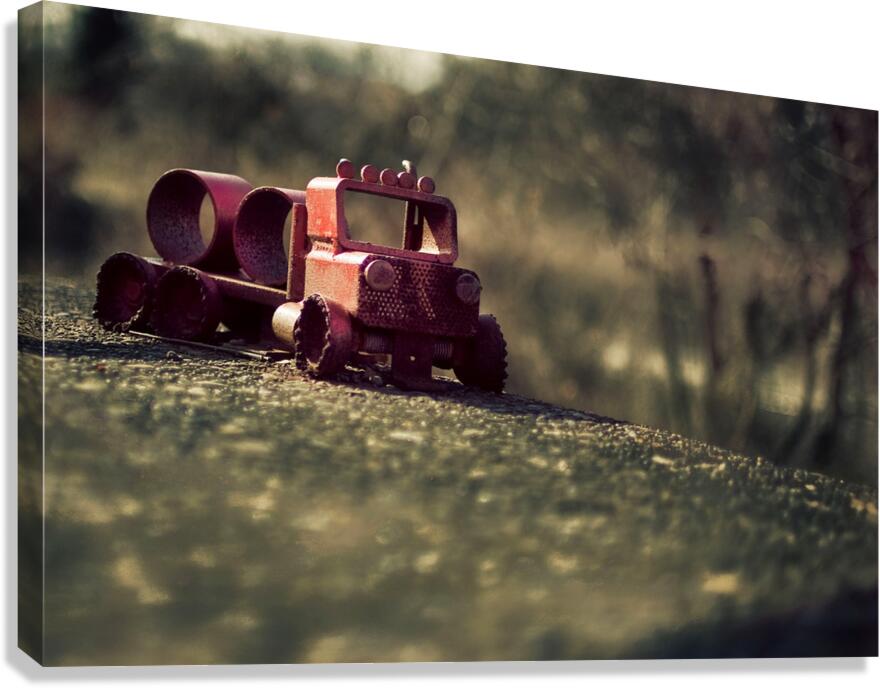 Childhoods Golden Hour Canvas Print