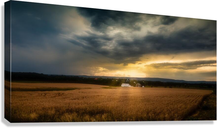 Farmland Sunset Canvas Print