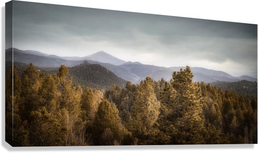 Mueller Aspen Series: Mountain View Canvas Print