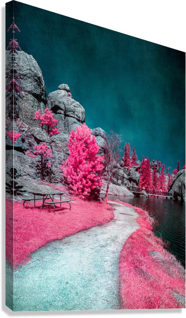 Solitary Trails: Pink Serene Trail Canvas Print