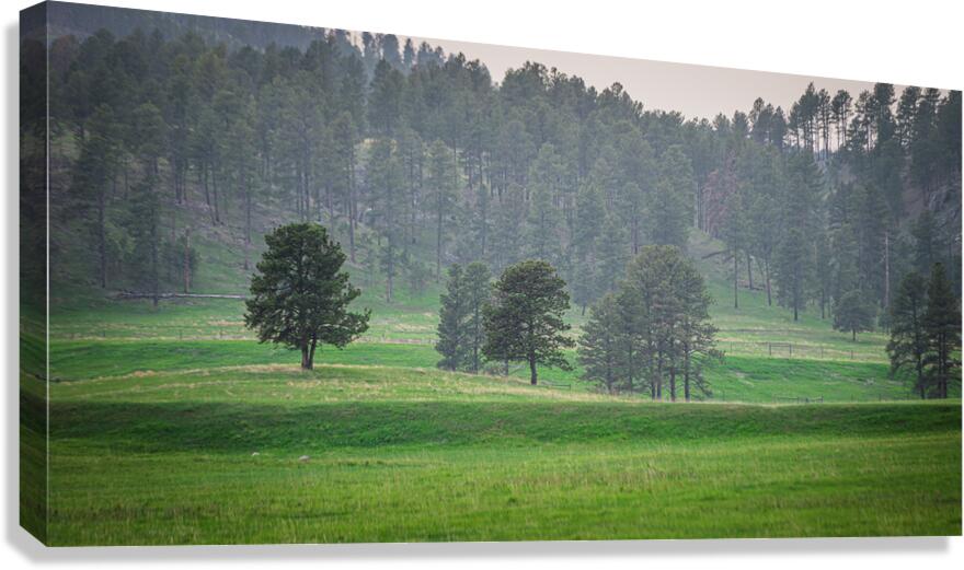 Serene Countryside Dreams Canvas Print