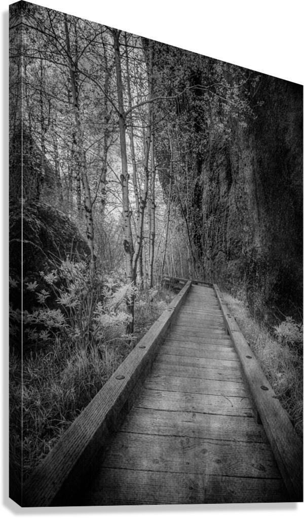 Mystical Journey: Sylvan Lake Wooden Trail in Infrared Canvas Print