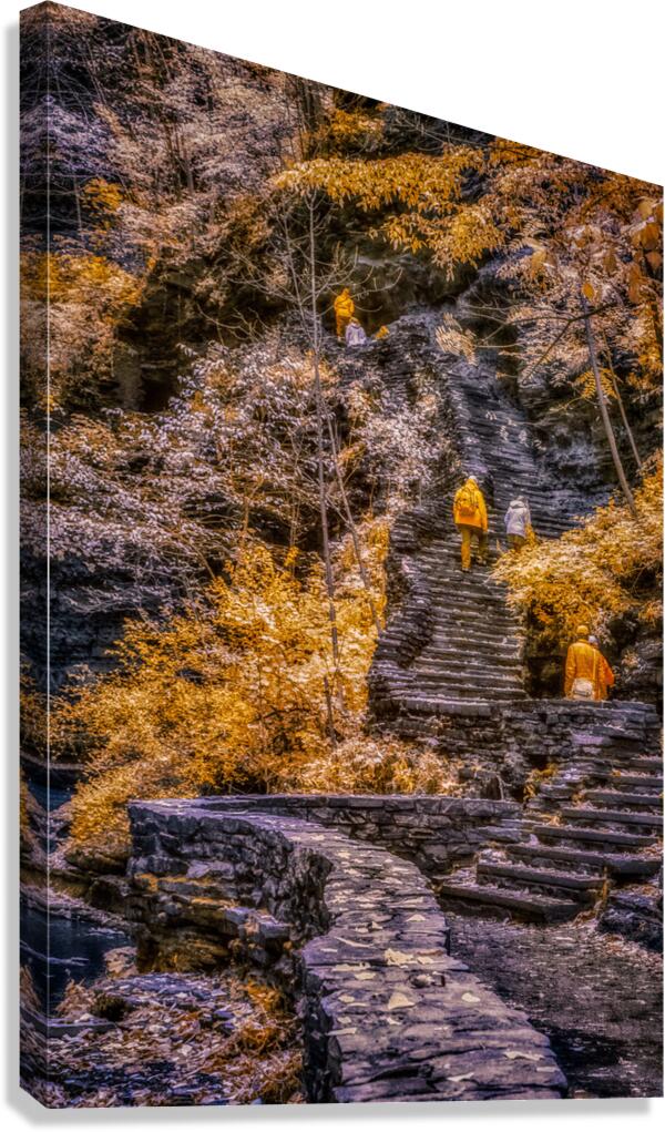 Golden Steps Ascent: A Color Infrared Symphony in Watkins Glen Canvas Print
