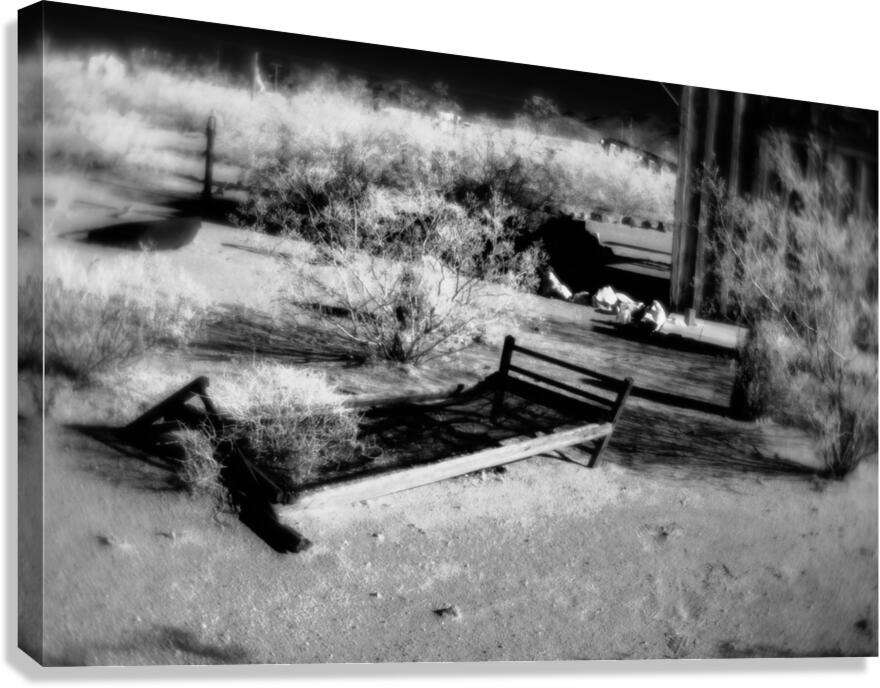 Forgotten Frame in a Sea of Thorn Canvas Print