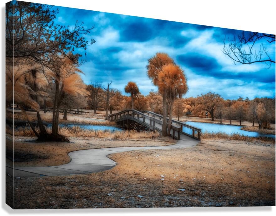 Mystical Tranquility: A Walk through Venetian Gardens in Leesbur Canvas Print