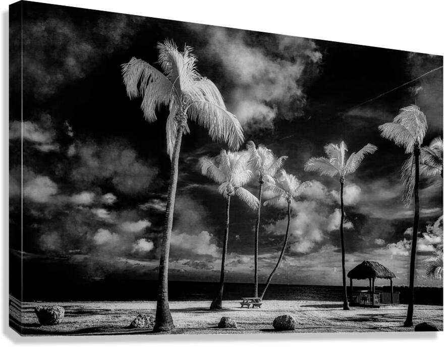 Tiki Picnic Canvas Print