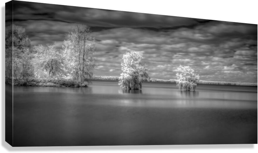 Tranquil Cypress Dreams: Santee State Park Canvas Print