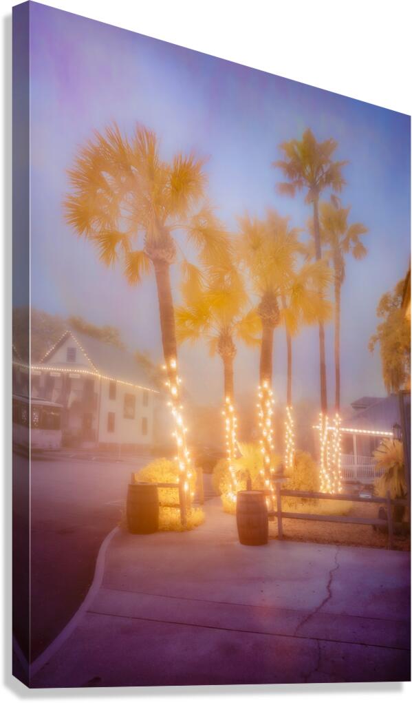 Enchanting Saint Augustine: Palm Trees Aglow with Christmas Magi Canvas Print