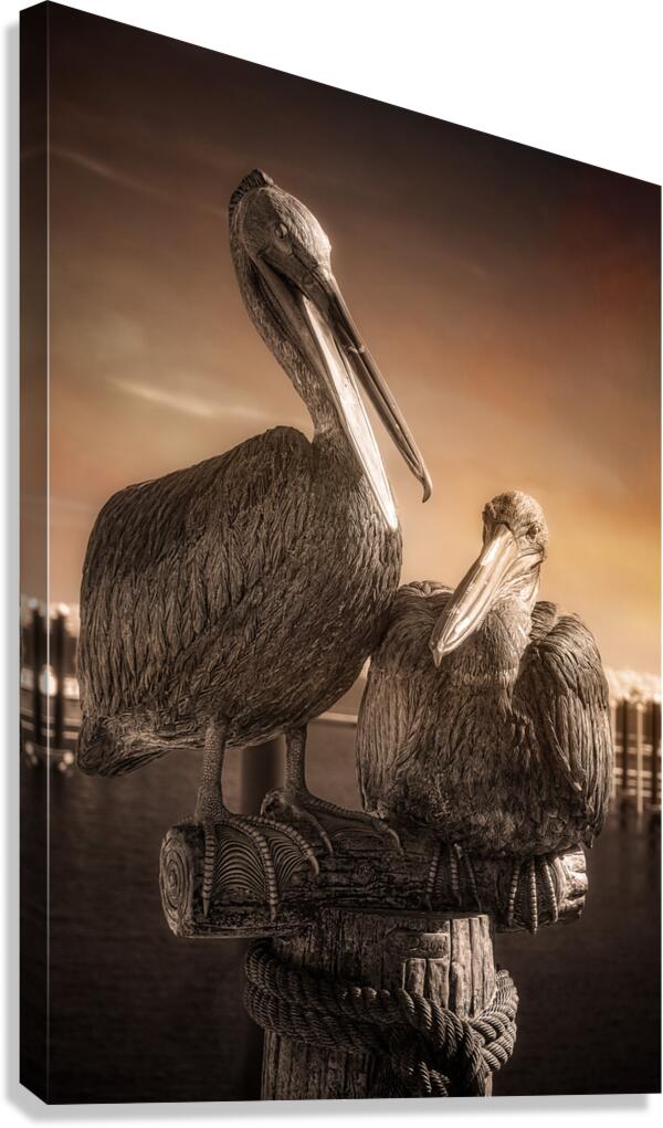 Coastal Guardians Canvas Print