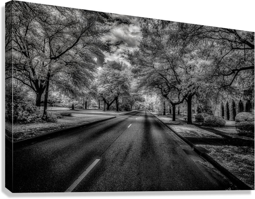Eufaula Elegance: A Monochromatic Journey Through Time Canvas Print