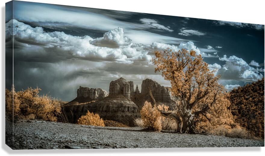 Solitary Desert Dreams Canvas Print
