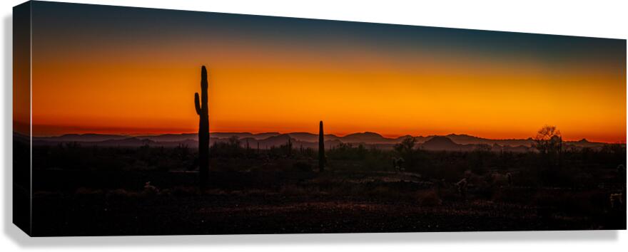Deserts Twilight Poetry Canvas Print
