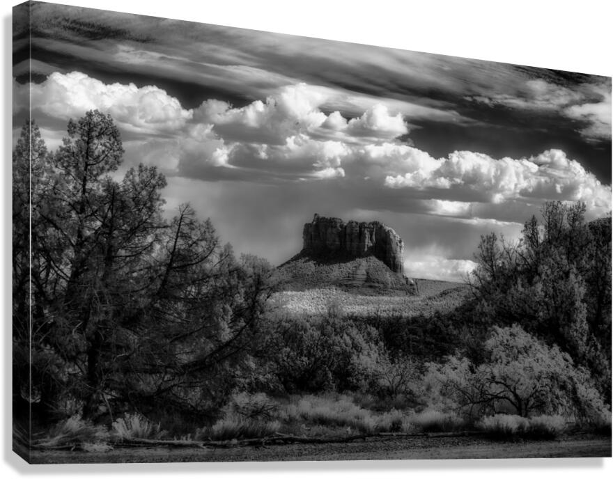 Textural Dance Under Vast Skies Canvas Print