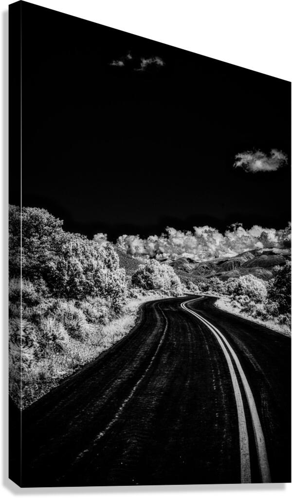 Symphony of Road and Foliage Canvas Print