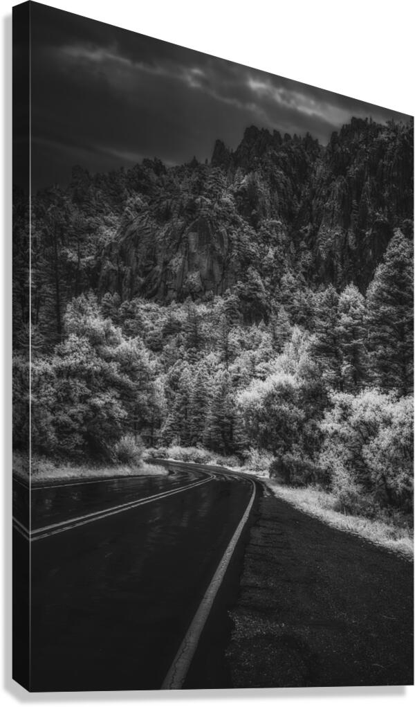 Shadowed Path to Tranquil Peaks Canvas Print