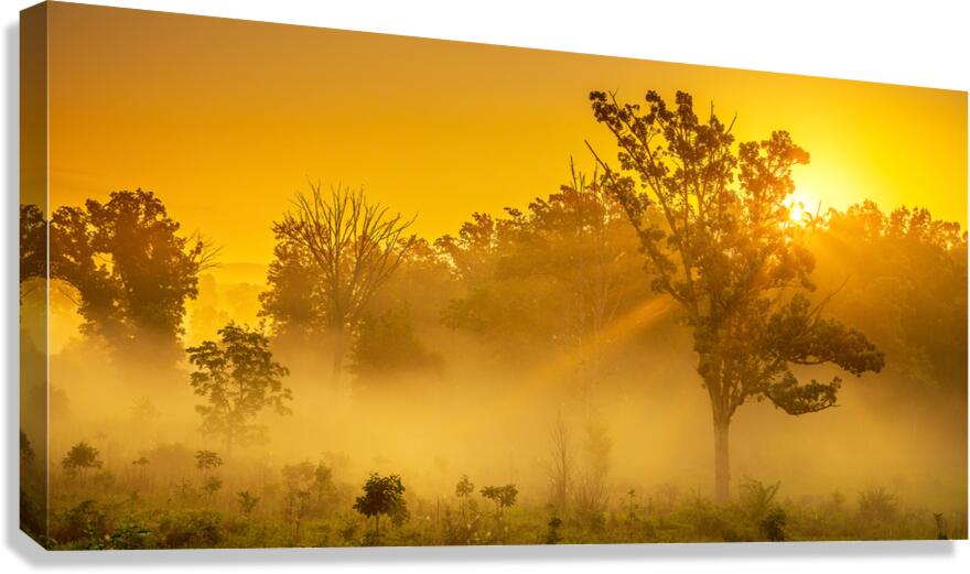 Misty Morning Glow: Dawn in Gettysburg Canvas Print