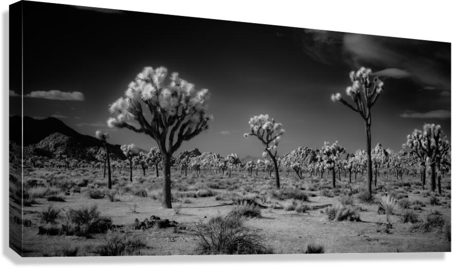 Ghostly Terrain Under Infinite Sky Canvas Print