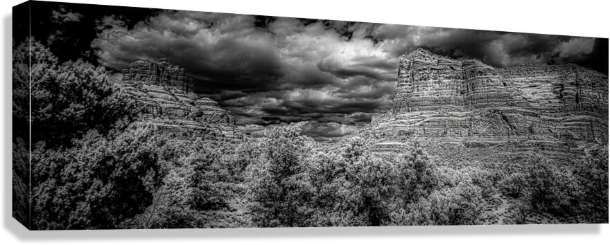 Desert Majesties in Monochrome Canvas Print