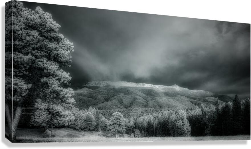 Muellers Mystique Canvas Print