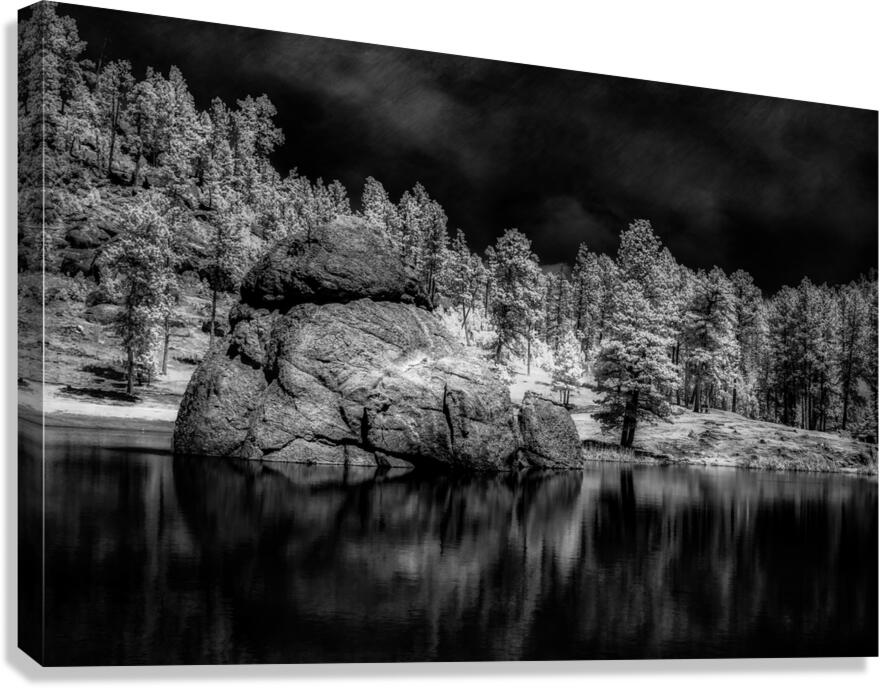 Enigmatic Elegance: Sylvan Lakes Monochrome Marvel Canvas Print