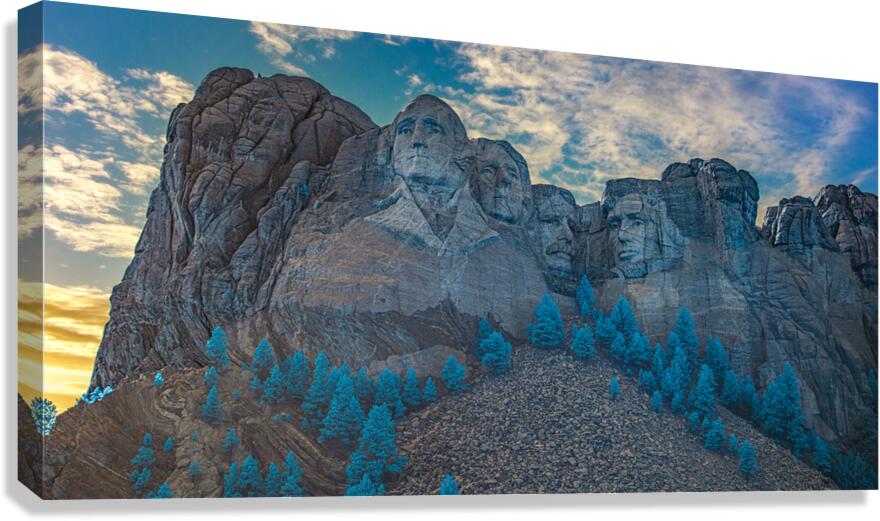 Hybrid Rushmore Canvas Print