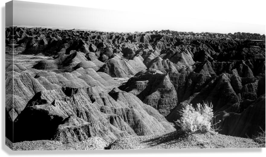 Shadows of the Earth: Tuft on the Edge Canvas Print