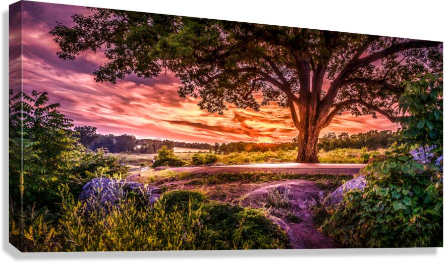 Fairytale Sunset Canvas Print