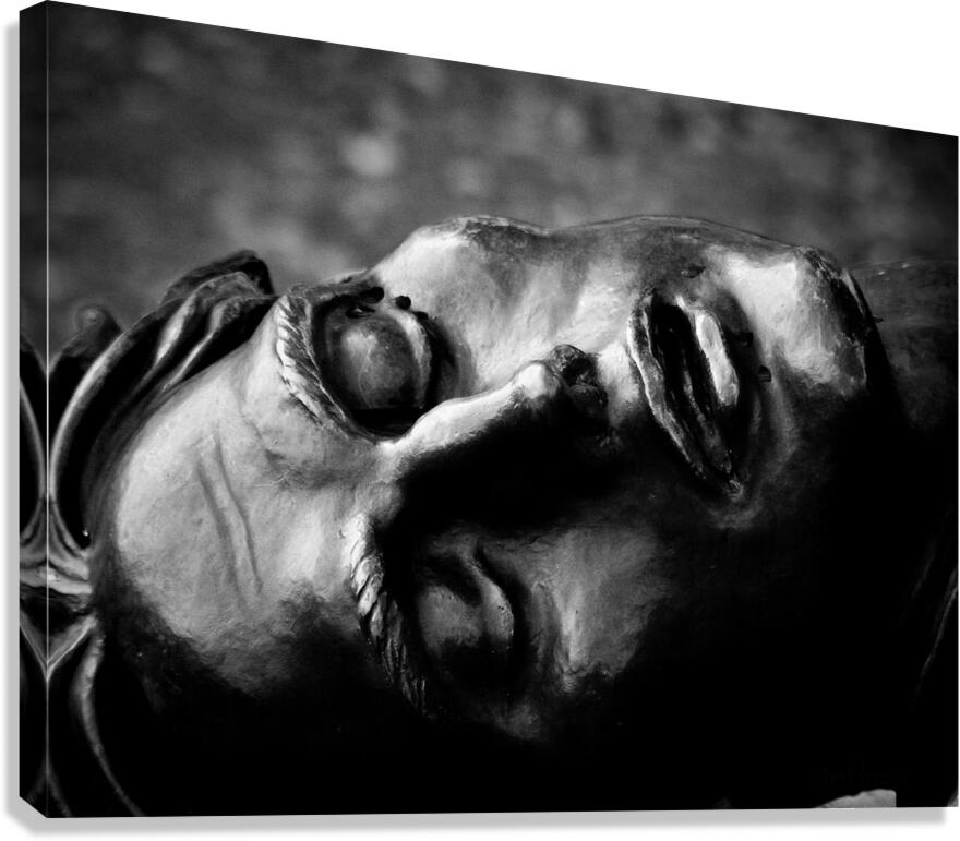 In the Eyes of War Canvas Print