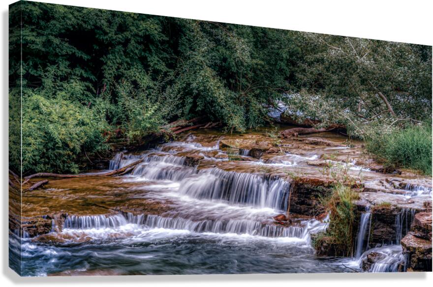 Tranquil Cascades: A Quaint Ducks Tale Upstream from Niagara Falls Canvas Print