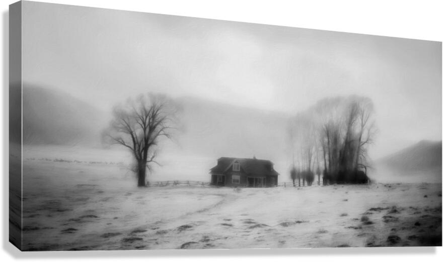 Winters Solitude Canvas Print