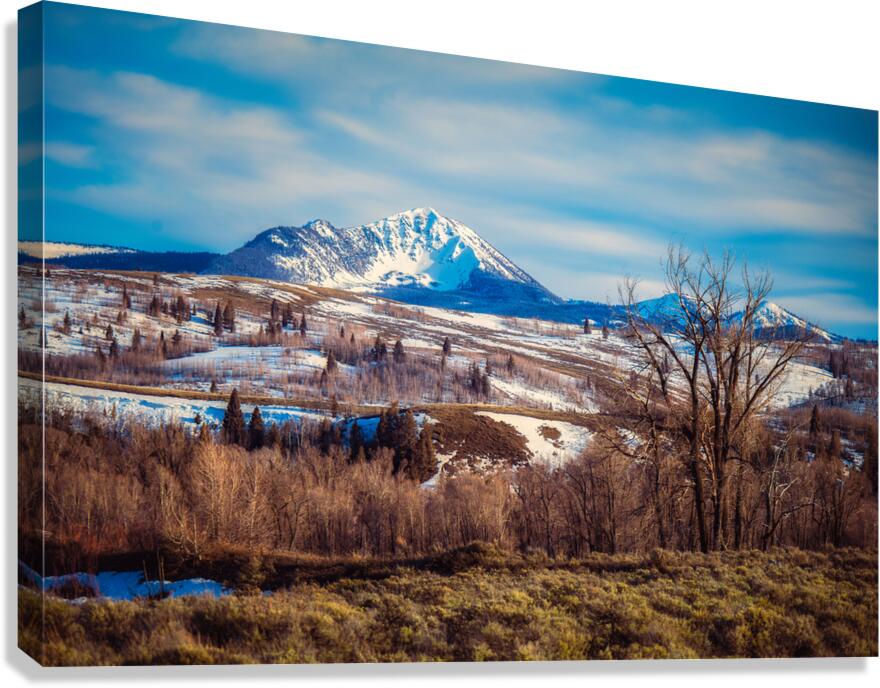 Winters Crown in Blue Canvas Print