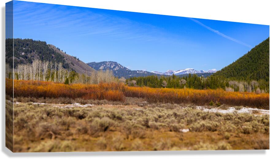 Layers of Winter Promise Canvas Print