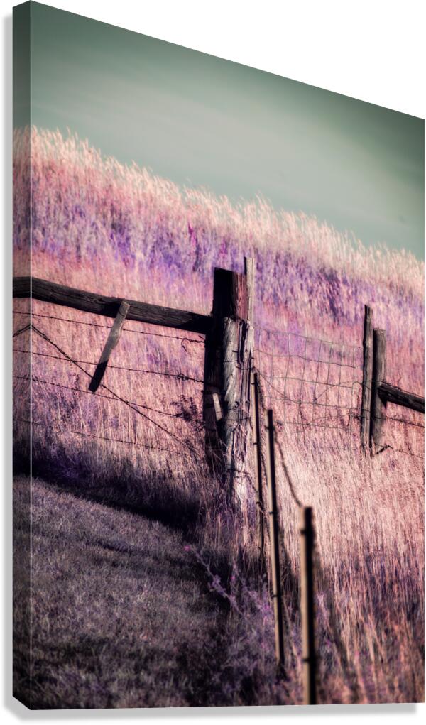 Purple Prairie Dreams   Wyoming Boundaries Canvas Print