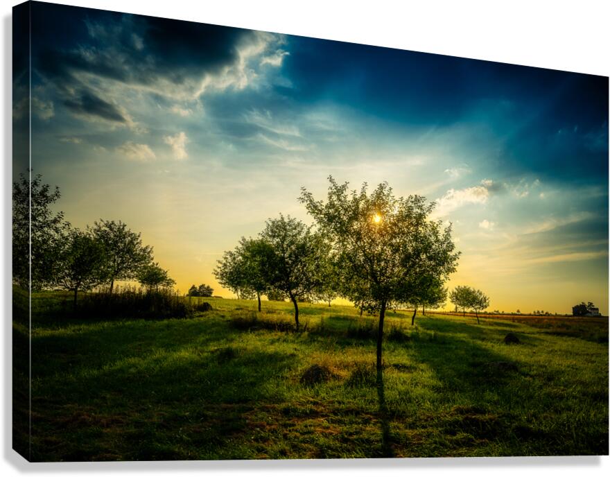Golden Hour Symphony: Trostle Farms Enchanting Ambiance at Getty Canvas Print