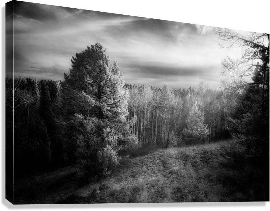 Mueller Aspen Series: Natures Finale Canvas Print