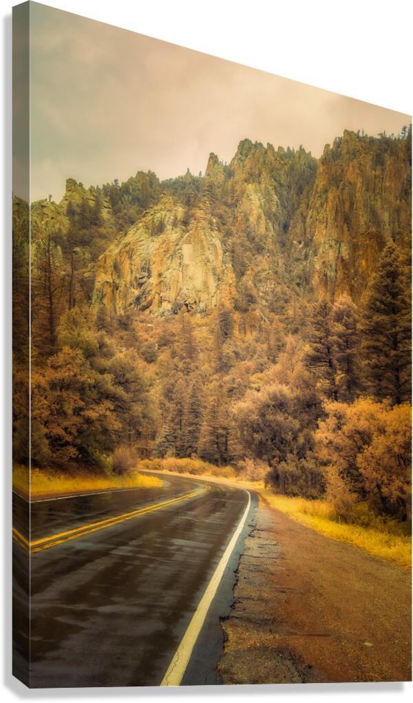 Reflections of a Rain Kissed Road Canvas Print