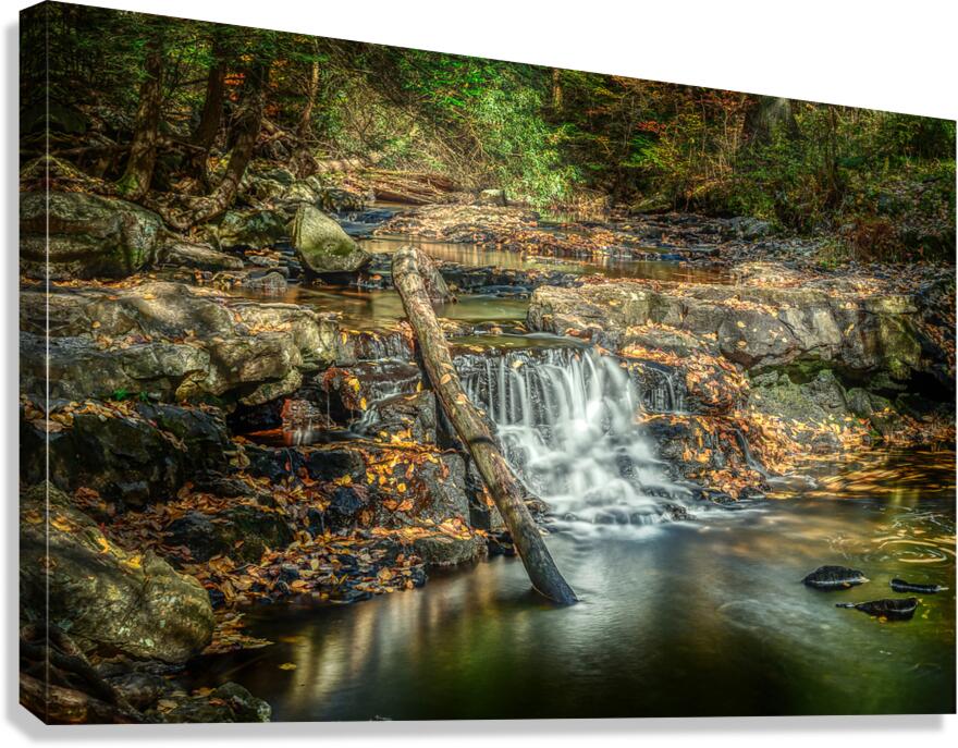 Small falls on Kitchen Creek Canvas Print