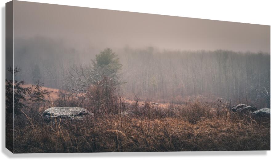 Winters Whispers Canvas Print