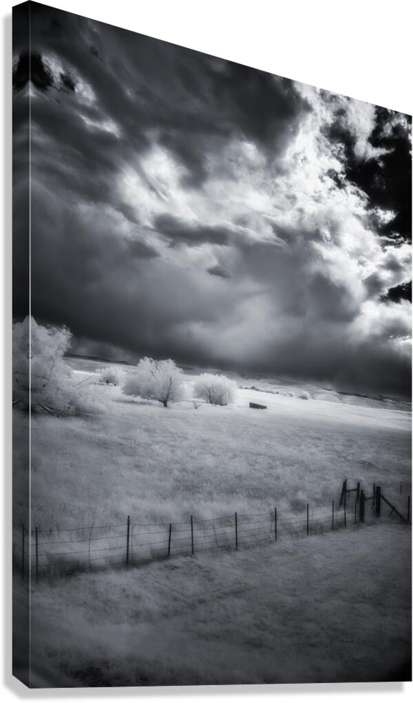 Prairie Solitude   Wyoming Minimalism Canvas Print