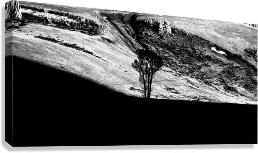 Solitary Sentinel Canvas Print